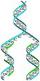 Image 36The replicator in virtually all known life is deoxyribonucleic acid. DNA is far more complex than the original replicator and its replication systems are highly elaborate. (from History of Earth)