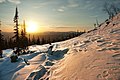 de:Südsibirische_Gebirge, de:Kusnezker_Alatau