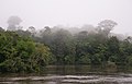 Image 44The Coppename river, one of many rivers in the interior (from Suriname)