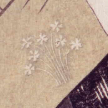 Close-up of a crest of several small flowers at the end of long stems