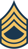 E-7 insignia