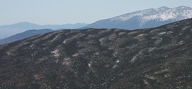 Fir waves in White Mountains, New Hampshire