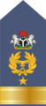 (Nigerian Air Force)[11]