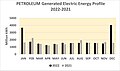 PETROLEUM Generated Electric Energy Profile 2022-2021