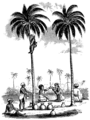 Coconut trees, and Toddy gatherers of southern India (1855)