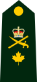 Brigadier-général de l'Armée canadienne
