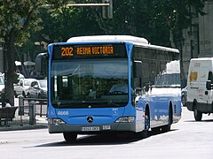 Bus urbano