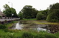 Wimbledon Common, 7 Post Pond