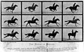 Image 2Eadweard Muybridge's The Horse in Motion cabinet cards utilized the technique of chronophotography to study motion. (from History of film)
