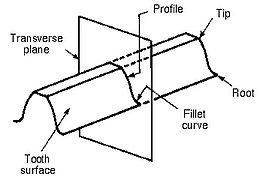 Profile of a spur gear