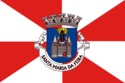 Santa Maria da Feira – Bandiera