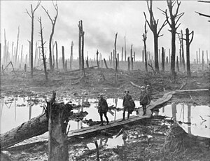 Atiradores australianos na Floresta de Château, próxima a Hooge, em 29 de outubro de 1917.