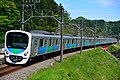 Seibu série 30000 "Smile Train"