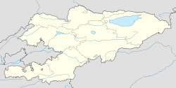 Жаңы-Жер (Кадамжай району) (Кыргызстан)