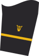Dienstgradabzeichen eines Leutnants zur See (Militärmusikdienst) auf dem Unterärmel der Jacke des Dienstanzuges für Marineuniformträger
