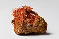 Image 15Crocoite, by JJ Harrison (from Wikipedia:Featured pictures/Sciences/Geology)