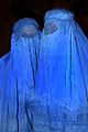 Burka, kvinner fra Afghanistan