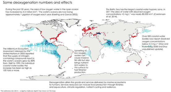 Oxygen minimum zones (OMZs) (blue) and areas with coastal hypoxia (red) in the world's ocean[50]