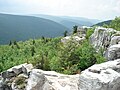 Dolly Sods Wilderness, West Virginia: View from atop Breathed Mountain.