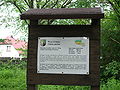 Tablica informacyjna obok wiązu górskiego w parku dworskim.