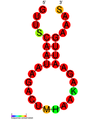 CRISPR-DR6: Secondary structure taken from the Rfam database. Family RF01319.