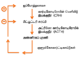 tamilščina