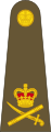 Lieutenant-general[55] (Angkatan Darat Britania Raya)