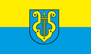 Vlag van Klingenthal