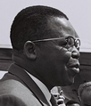 Image 13The leader of ABAKO, Joseph Kasa-Vubu, first democratically elected President of Congo-Léopoldville (from Democratic Republic of the Congo)