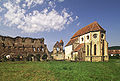 Abbaye cistercienne de Cârța