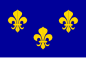 Yeni Fransa Naipliği bayrağı