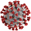 Ilustrasi sebuah virion SARS-CoV-2, penyebab pandemi koronavirus 2019–2020.