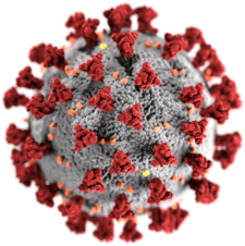 Koronavirus SARS-CoV-2 způsobující onemocnění
