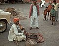 A Snake Charmer playing Been