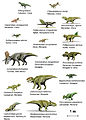 Species of Ceratopsia dinosaurs