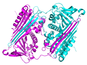 Un dímero de serpina de dominio intercambiado. (PDB 2ZNH)