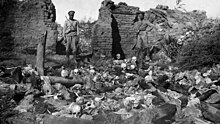 Two armed men standing by a ruined wall, surrounded by skulls and other human remains