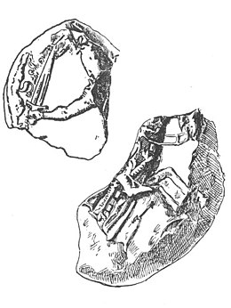 Sketch of two fragments of an equestrial seal