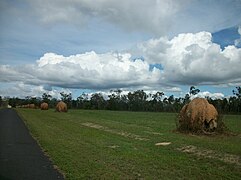 Moved termite mounds, Mareeba, Queensland, outskirts of Cairns