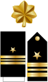 Distintivo per paramano dell'uniforme ordinaria invernale, controspallina estiva e fregio da colletto della US Navy.