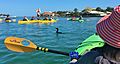 La guida dell'ecotour si trova su un kayak per avvistare delfini e lamantini, intorno al Lido Key
