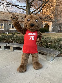 Touchdown, the Big Red Bear, in his basketball uniform