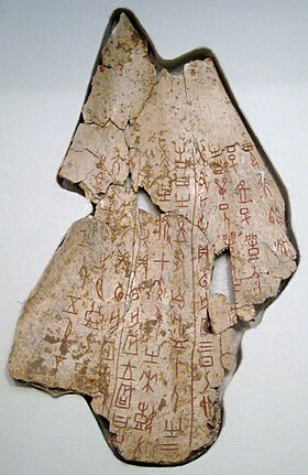 Ox scapula bearing oracle bone inscriptions, which represent the common ancestor of the Chinese family of scripts