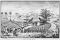 Image 7Tobacco fields in Cuba, 1859 (from History of Cuba)
