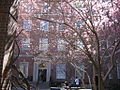 New York University, School of law