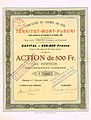 Aktie der Compagnie du Chemin de fer Territet–Mont-Fleuri vom 1. November 1909