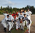 Image 26The Tampere Tigers celebrating the 2017 title in Turku, Finland (from Baseball)