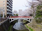 坂川に架かる潜龍橋（松戸神社）