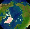 Artificially coloured topographical map of the Arctic region