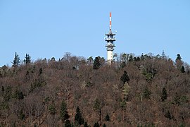 Fremersberg Tower